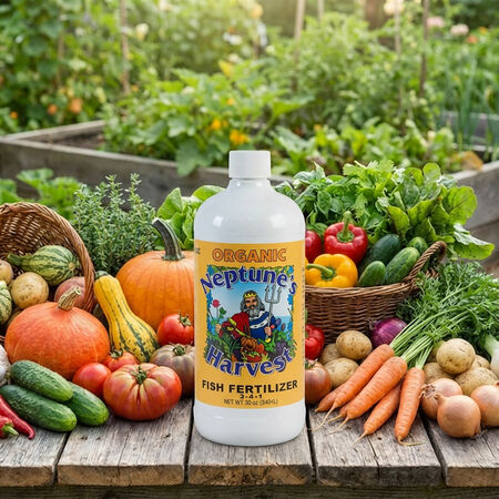 Fish Liquid Fertilizer,  Fertilizers - Quart (32 Oz.) image number null